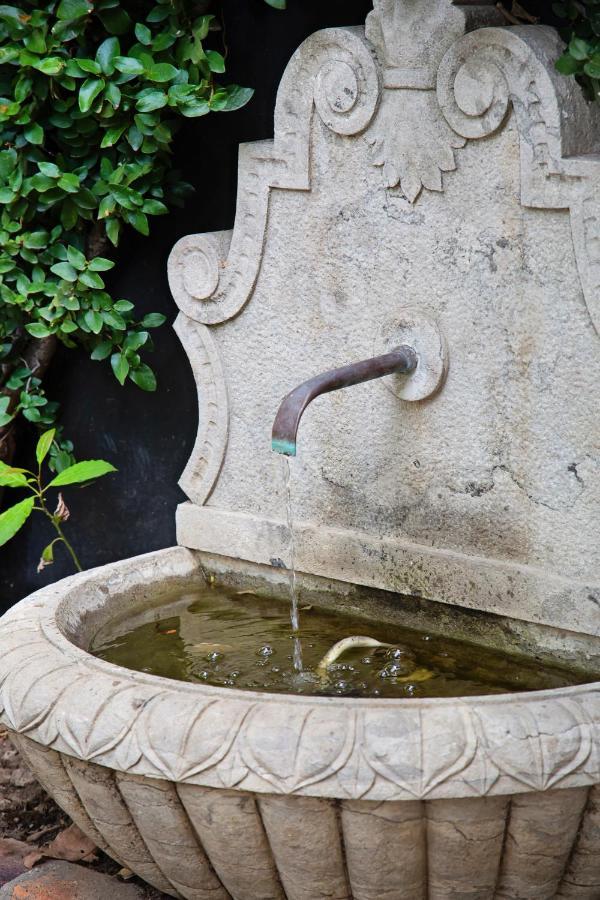 Paarl Hideaway Διαμέρισμα Εξωτερικό φωτογραφία